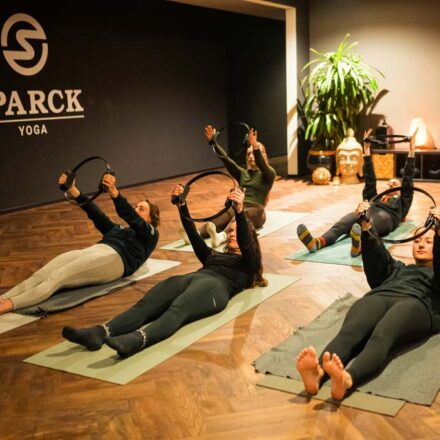 Pilates Ring